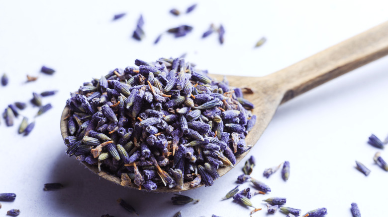 Dried lavender flowers in wooden spoon