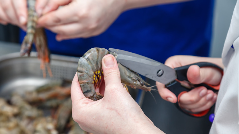 Shears slicing shrimp shells