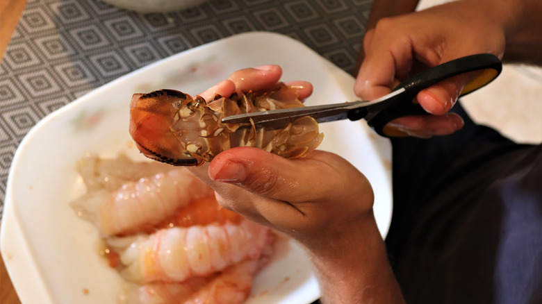 Shears cutting through lobster tail