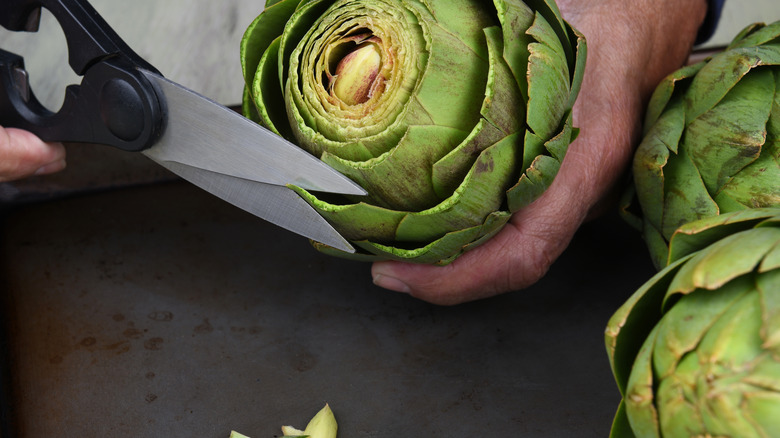 Kitchen shears trimming artichoke tips