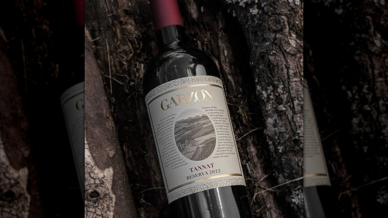 bottle of red Uruguayan wine with tree bark