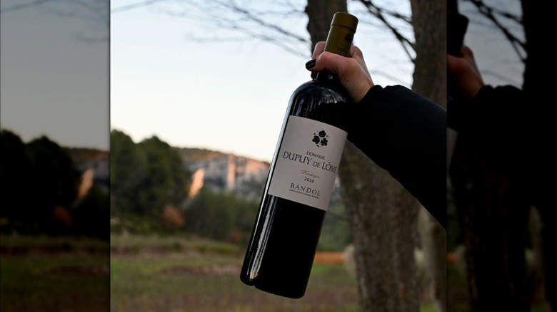 hand holding French red wine bottle in nature with a city in the back