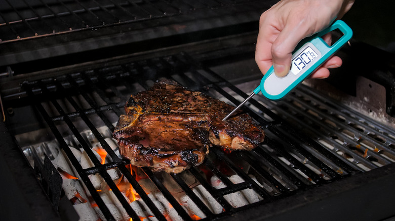 Person using electric meat thermometer