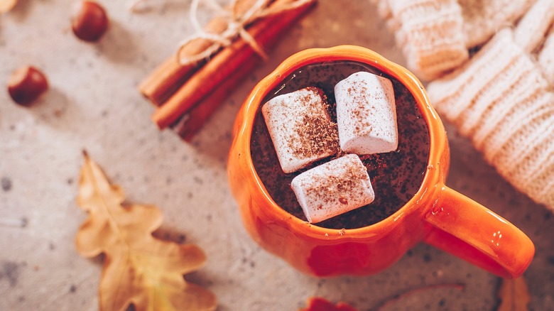 Hot chocolate with marshmallows on table with leaf, cinnamon, acorns, and sweater.