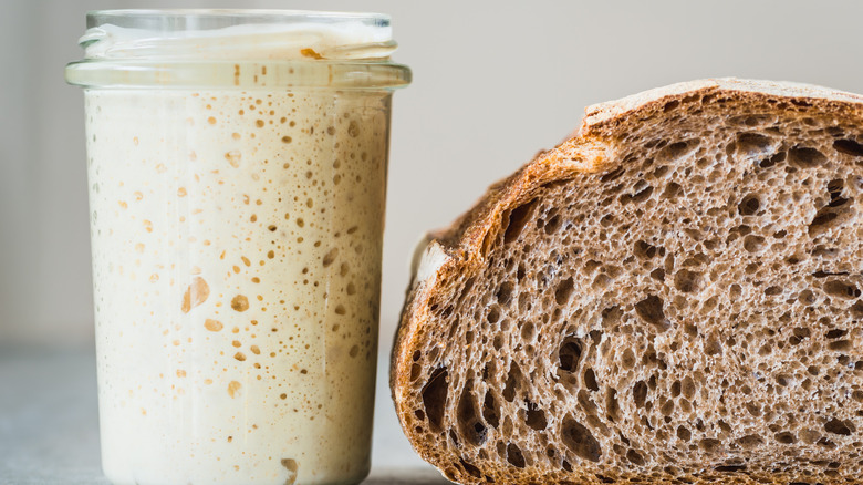 sourdough bread and bubbling starter