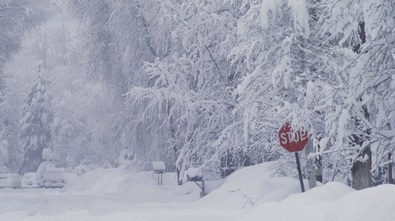 Snow-covered streets