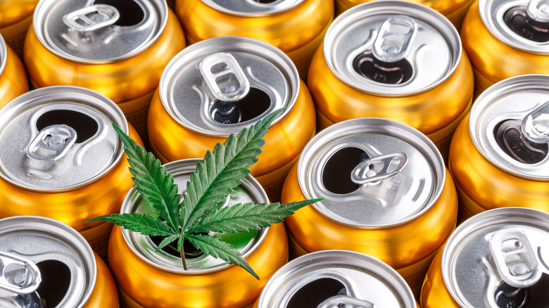 Beer cans and cannabis leaf