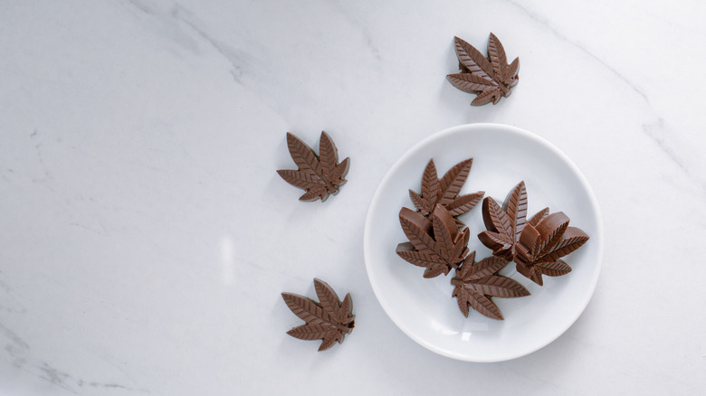 Chocolate cannabis candies on table