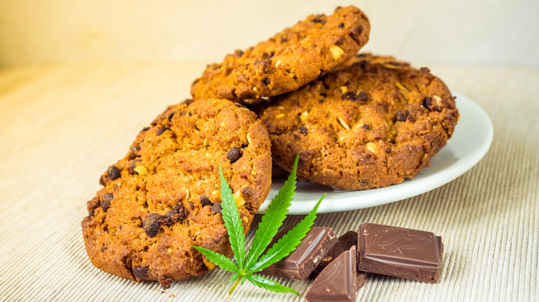 Cannabis cookies on plate