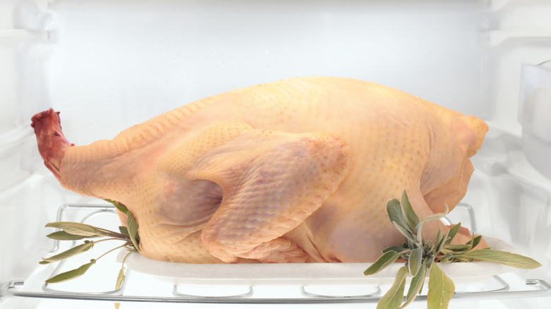 turkey in fridge