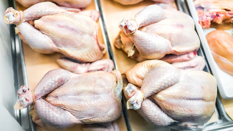 Fresh chickens in supermarket