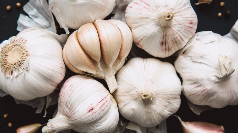 Bulbs of garlic