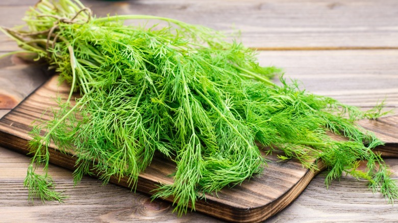 Fresh dill on a cutting board