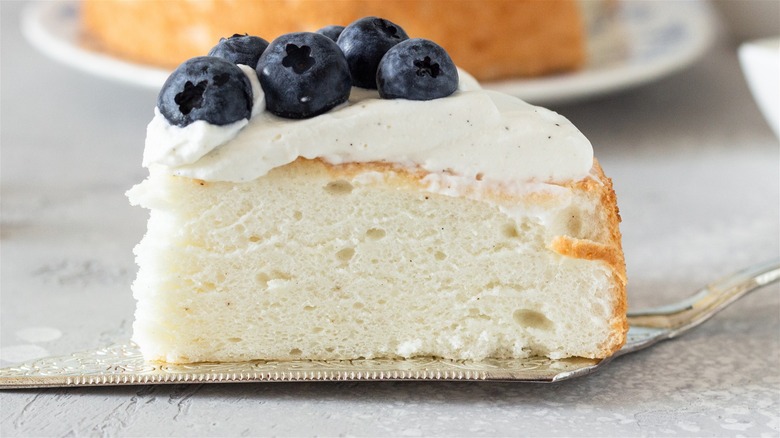 Slice of angel food cake