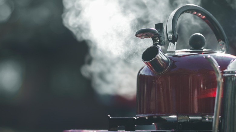 Kettle on stove with steam