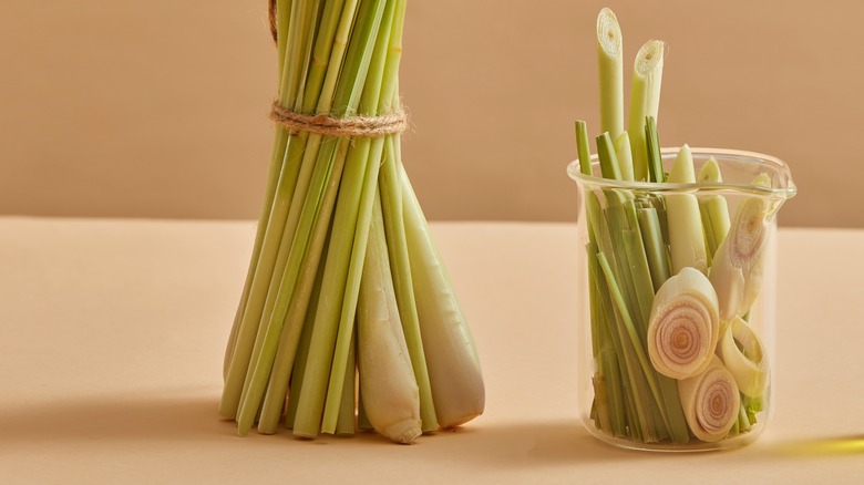 lemongrass regrowing in water