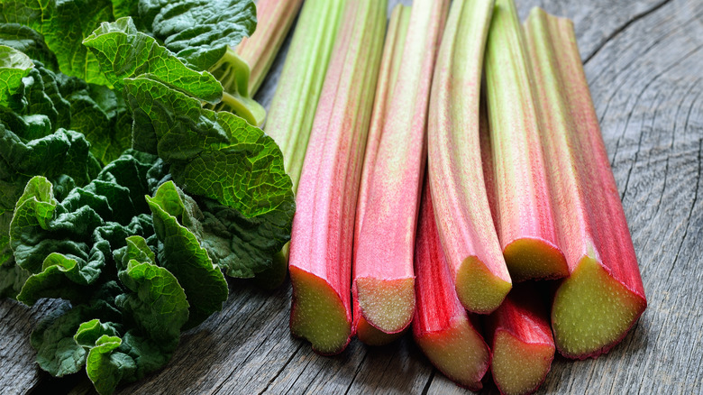 Rhubarb with leaves removed