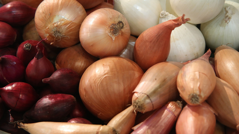 How to prepare shallots