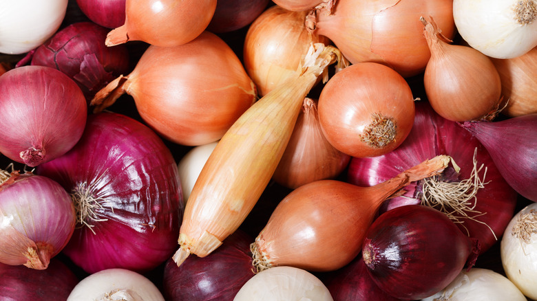 Assorted shallots and onions