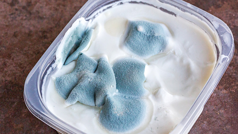 Sour cream with mold