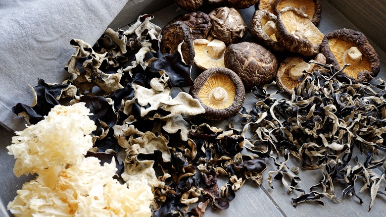 Assorted dried mushrooms