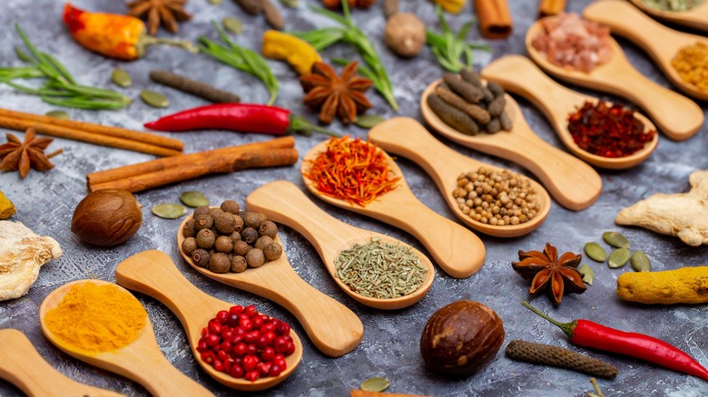 Variety of spices in spoons 