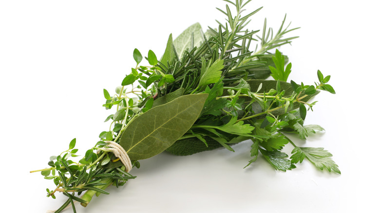 Bouquet garni on white background 