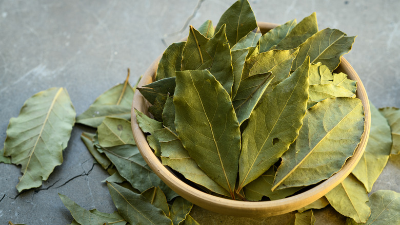 Dish of bay leaves