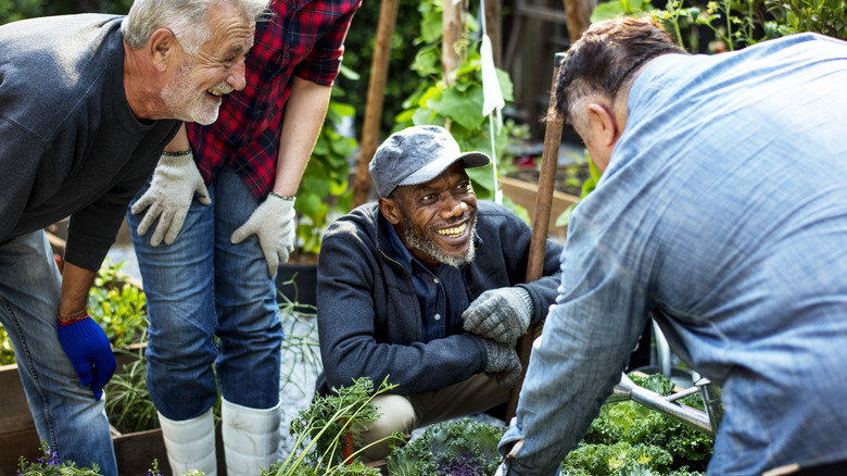 People in greenhouse with seedlings