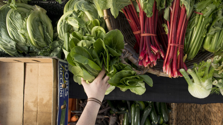 Assorted vegetables at farmers' market