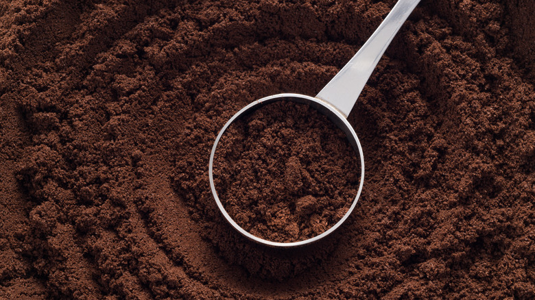 Scoop of espresso powder