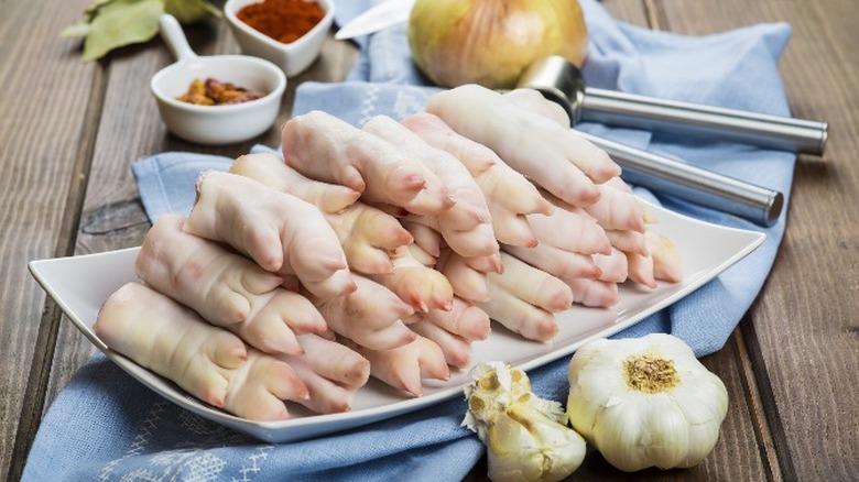 Raw pig's feet