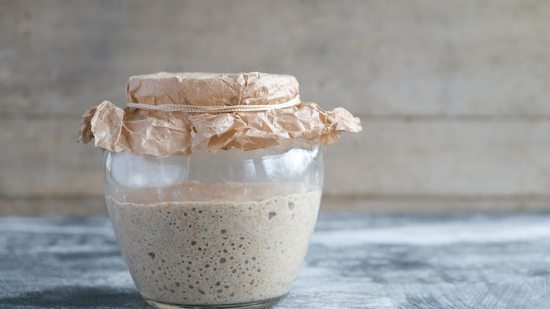 jar of bubbly sourdough starter