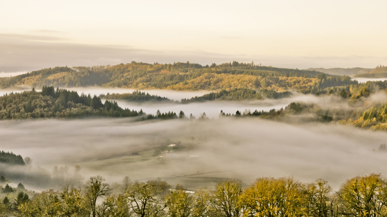 Willamette Valley, Oregon