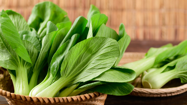 Chinese bok choy in basket