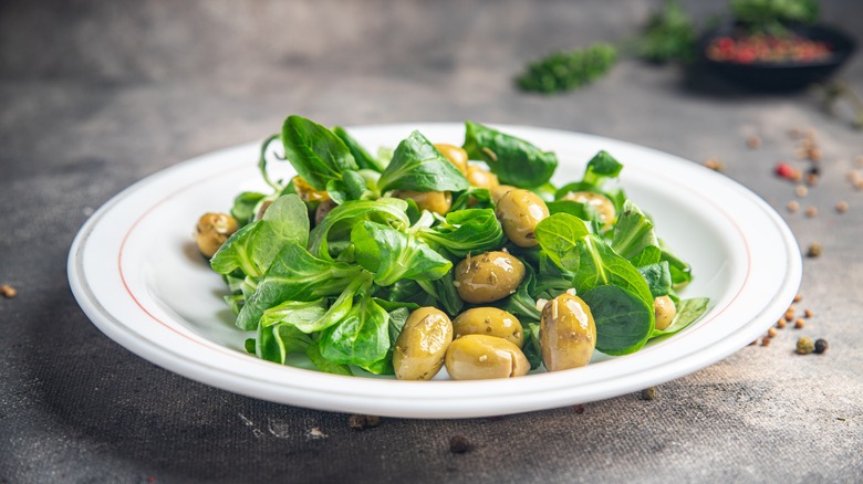 plate of mȃche salad