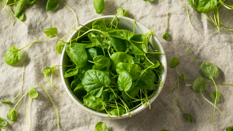 watercress greens in bowl