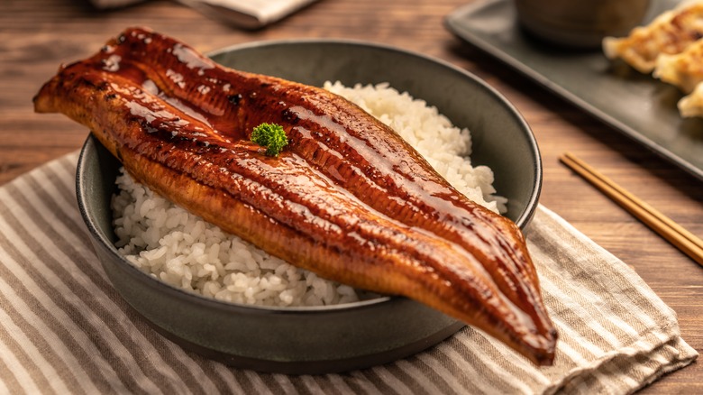 Grilled unagi or eel served over rice