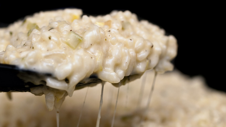 Spoonful of cheesy risotto