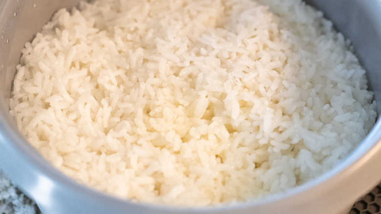 Cooked calrose rice in rice cooker