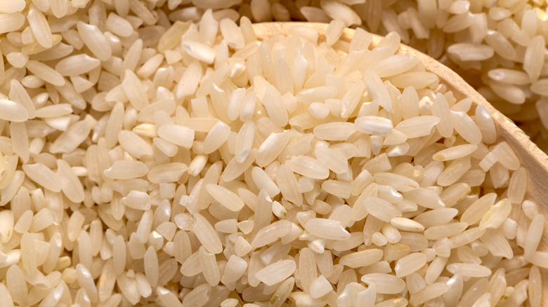 Close up of Carolina Gold rice grains and wooden spoon