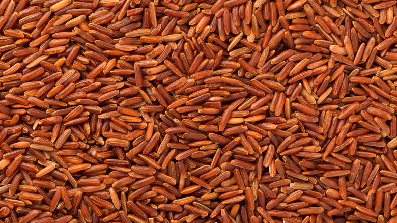 Numerous grains of dried red rice