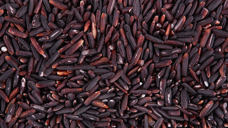 Close up of numerous wild rice grains