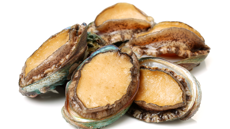 Raw abalones on white background