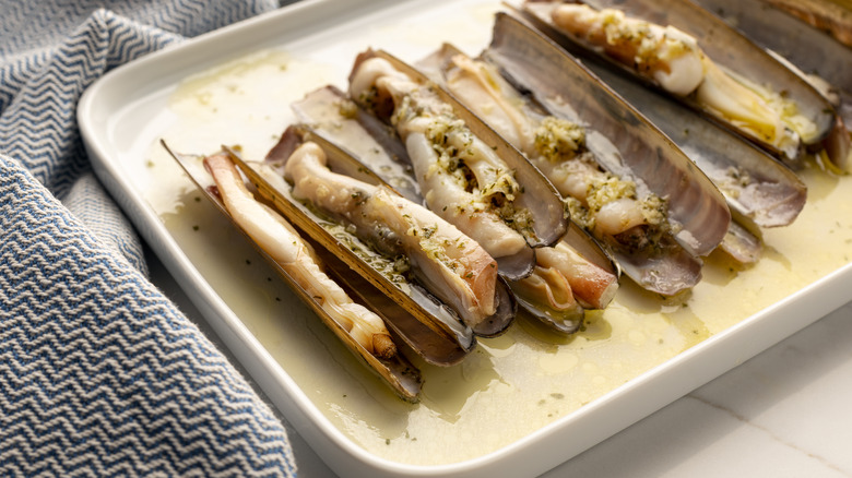 Cooked razor clams on plate