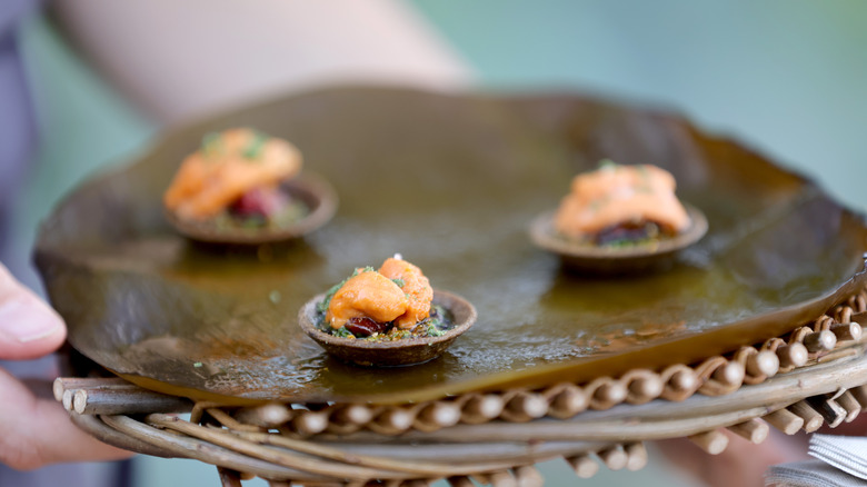 Platter of fresh sea urchin