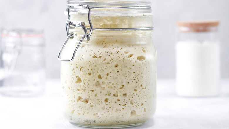 Sourdough in glass jar