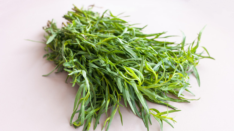 tarragon on table