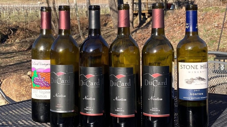 ducard vineyards and grapes