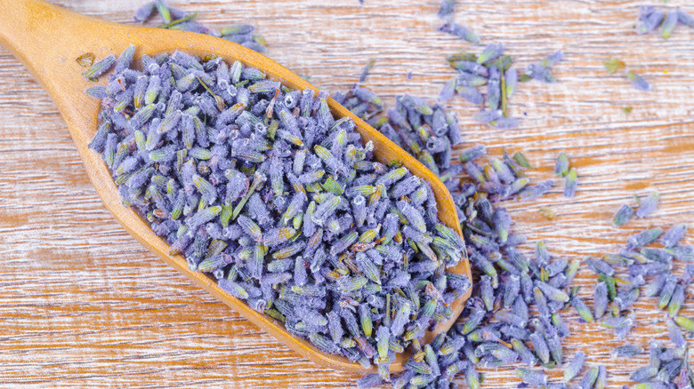 Dried lavender scooped